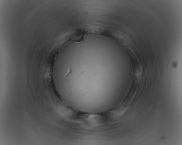 X0000093520663200710121546