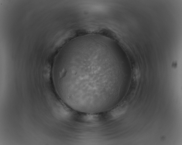 X0000093520664200710121546