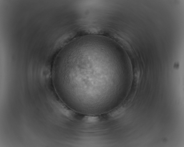 X0000093520665200710121546