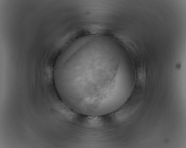 X0000093520667200710121546