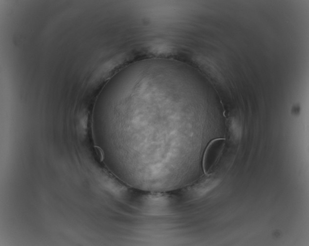 X0000093520668200710121546