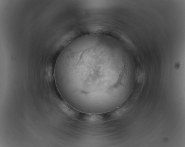 X0000093520670200710121546