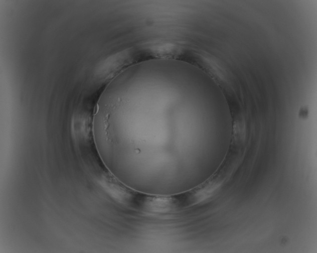 X0000093520671200710121546