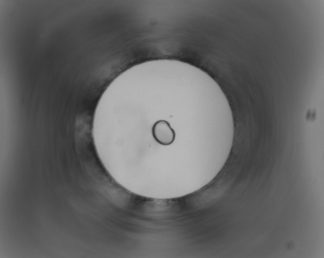 X0000093520672200710121546