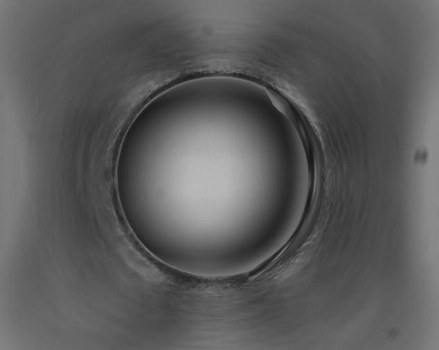 X0000093520673200710121545