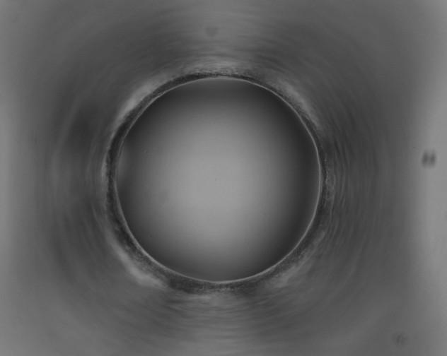 X0000093520674200710121545