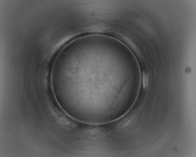 X0000093520675200710121545