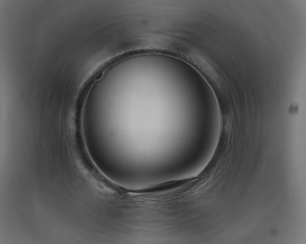 X0000093520676200710121545