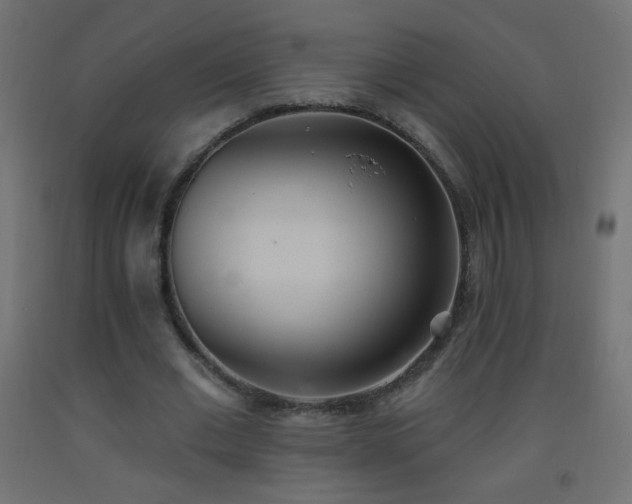 X0000093520677200710121545