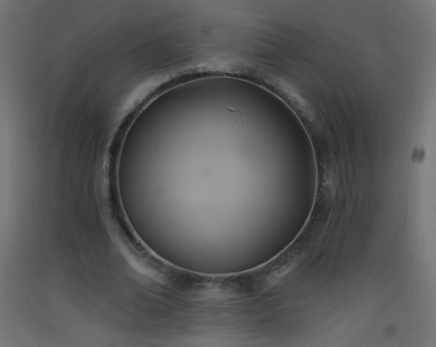 X0000093520678200710121545