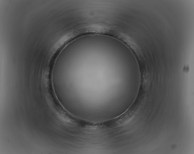 X0000093520679200710121545
