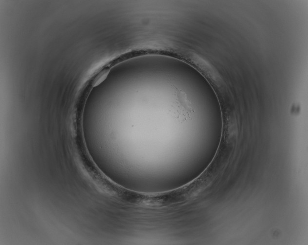 X0000093520680200710121545