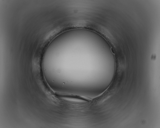 X0000093520681200710121545