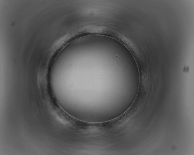 X0000093520682200710121545