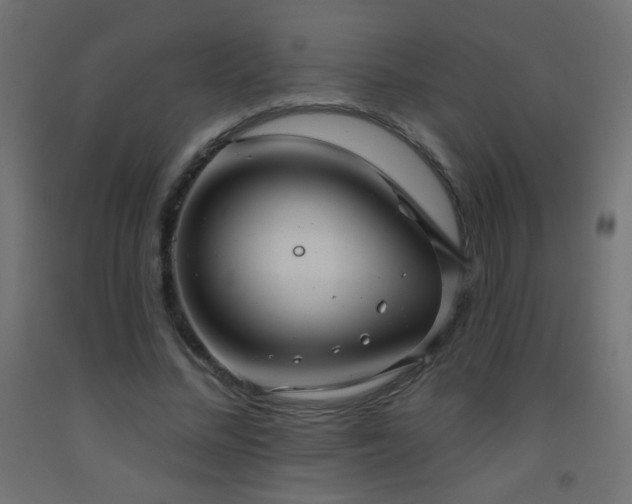 X0000093520684200710121545