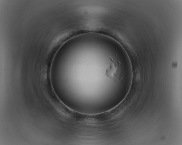 X0000093520685200710121545