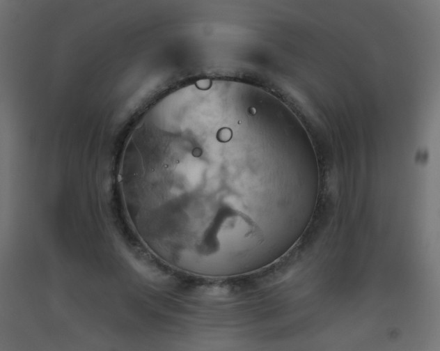 X0000093520687200710121545