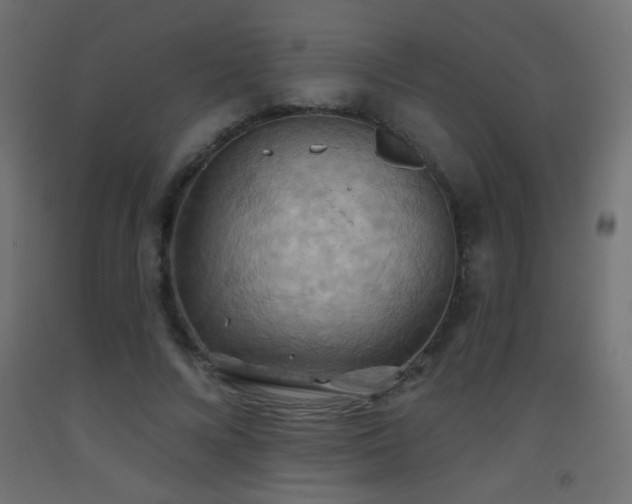 X0000093520688200710121545