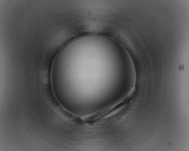X0000093520689200710121545