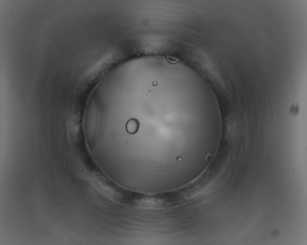 X0000093520691200710121545