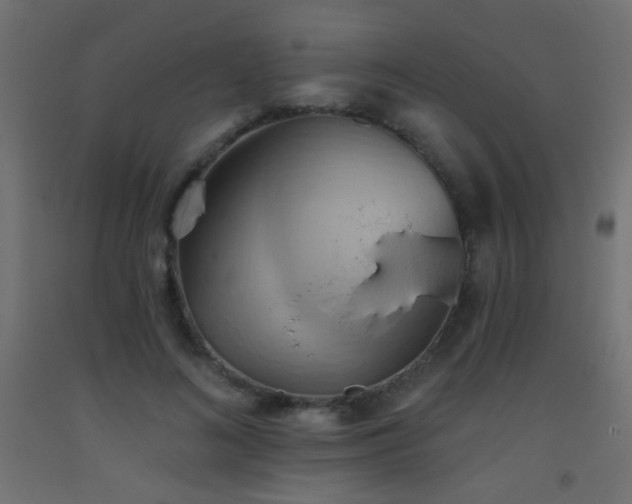 X0000093520692200710121545
