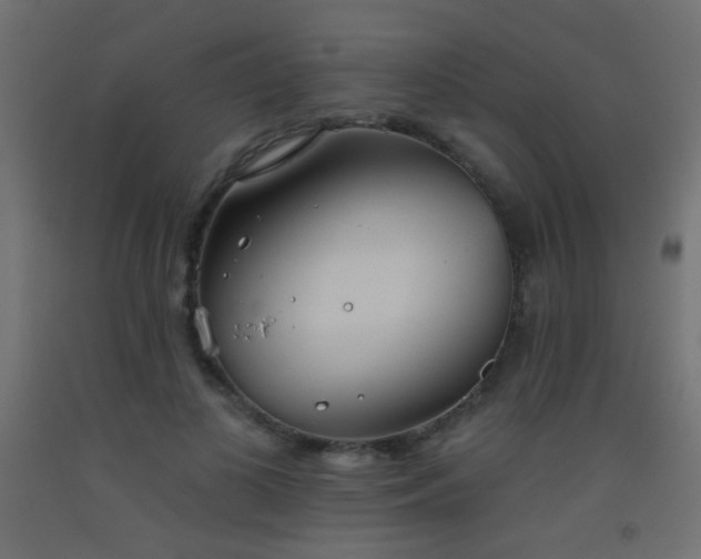 X0000093520693200710121545