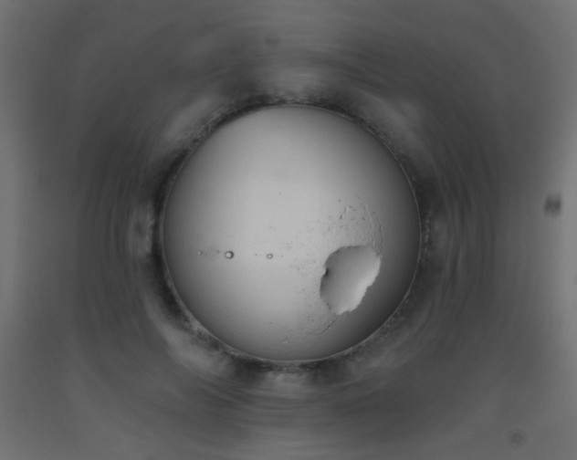 X0000093520694200710121545