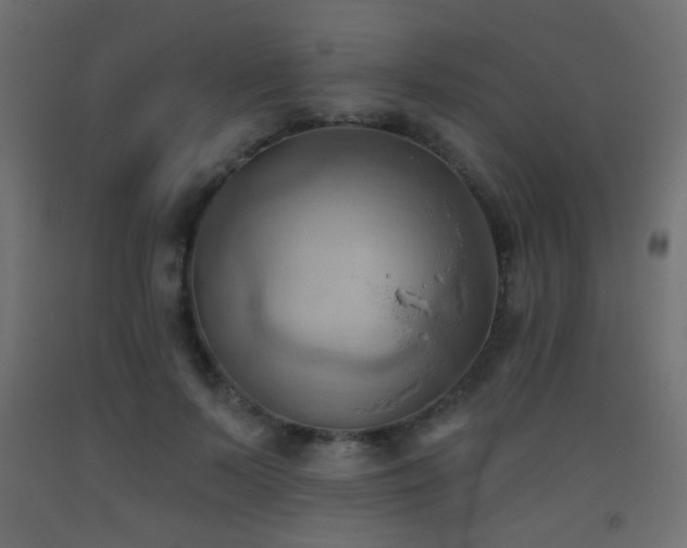 X0000093520695200710121545