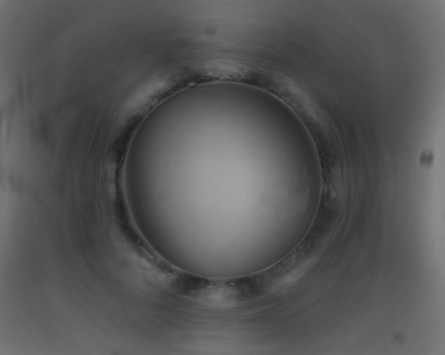 X0000093520696200710121545