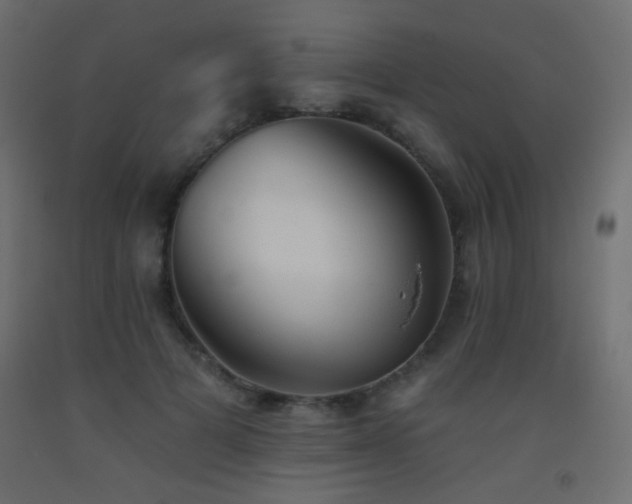 X0000093520697200710121545