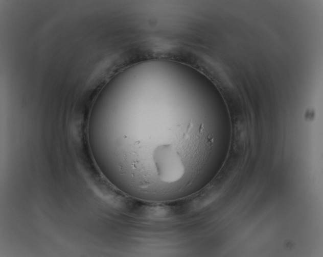 X0000093520698200710121545