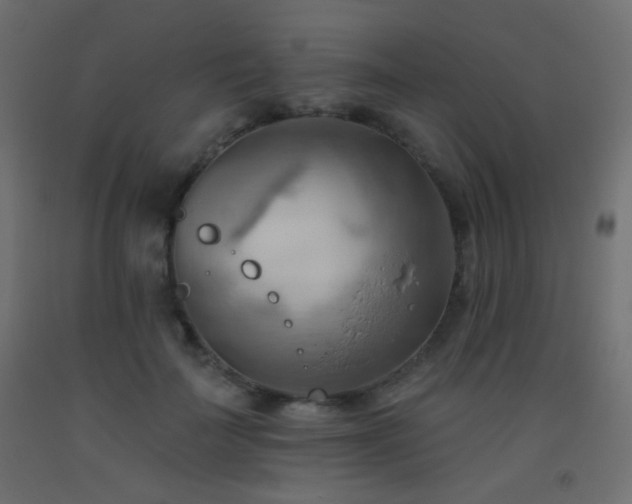 X0000093520699200710121545