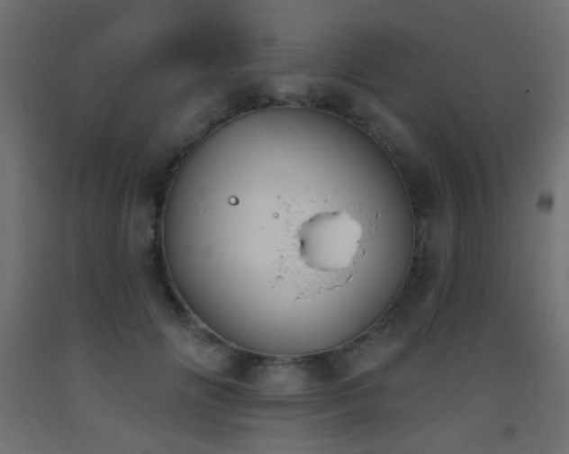 X0000093520702200710121545