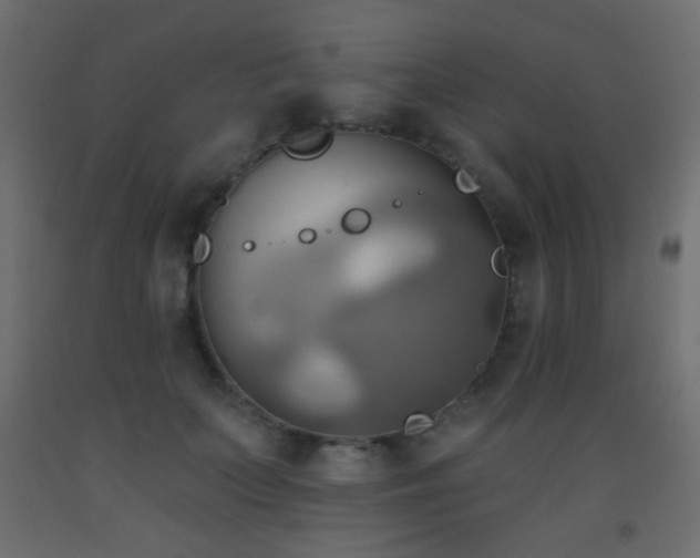 X0000093520703200710121545