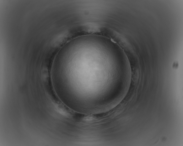 X0000093520704200710121545