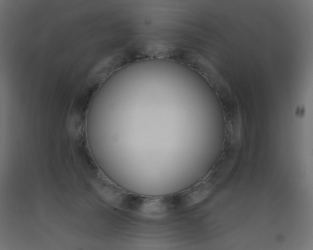 X0000093520705200710121545