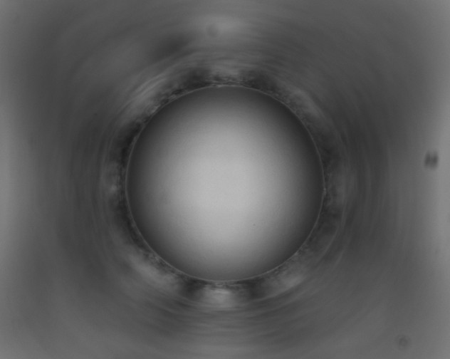 X0000093520706200710121545