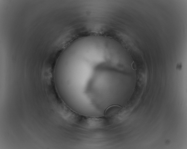 X0000093520707200710121545
