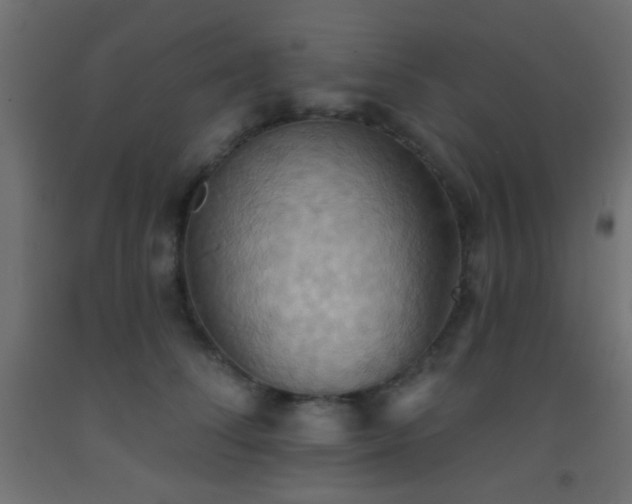 X0000093520708200710121545