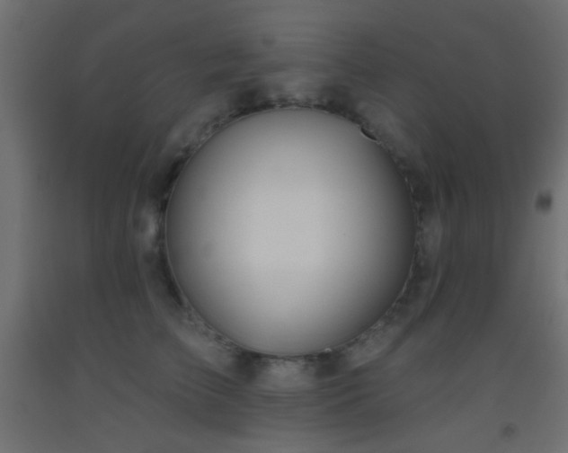 X0000093520709200710121545