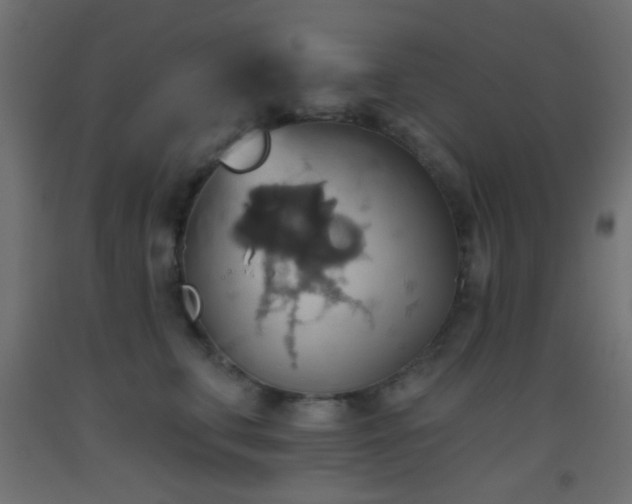 X0000093520711200710121545