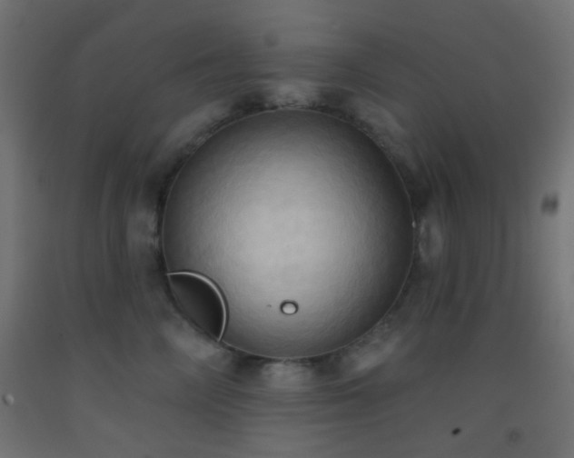 X0000093520714200710121545
