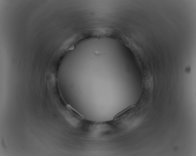 X0000093520716200710121545