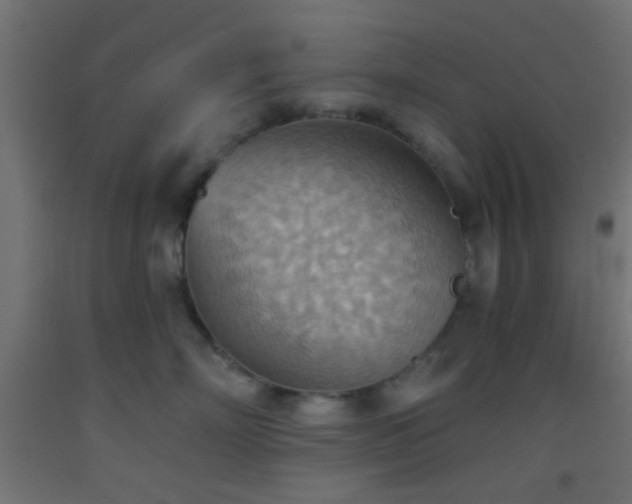 X0000093520718200710121545