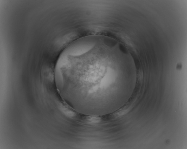 X0000093520719200710121545