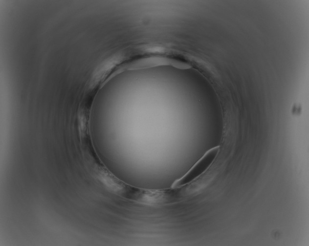 X0000093520720200710121545