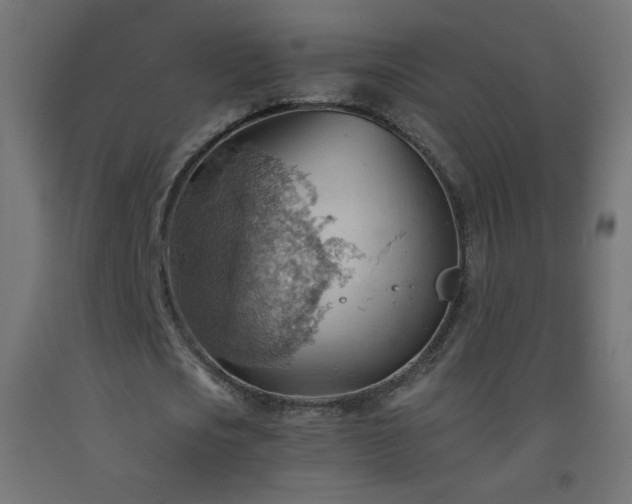 X0000093520721200710121544