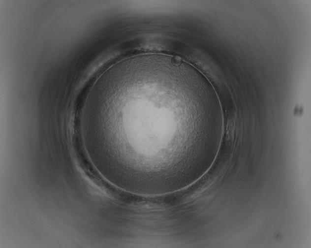 X0000093520722200710121544