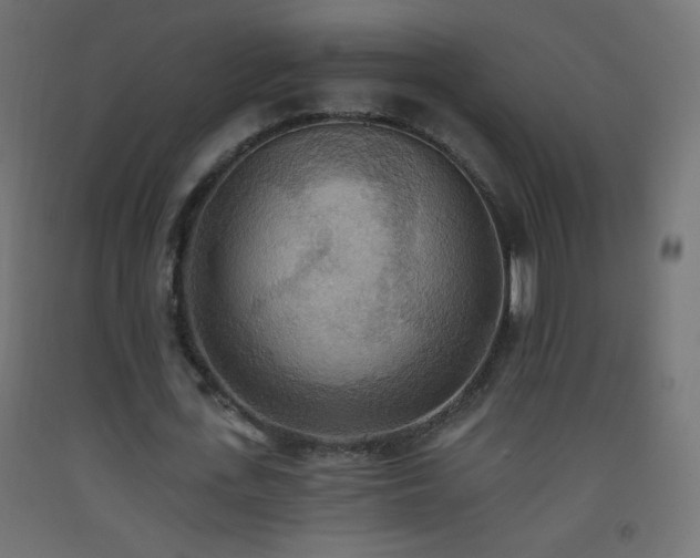 X0000093520723200710121544