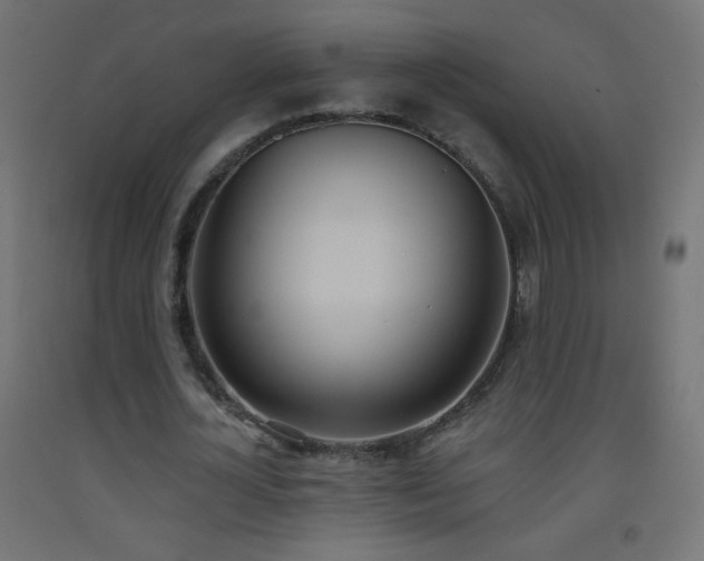 X0000093520724200710121544